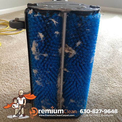 Carpet Cleaning Service in Warrenville, IL