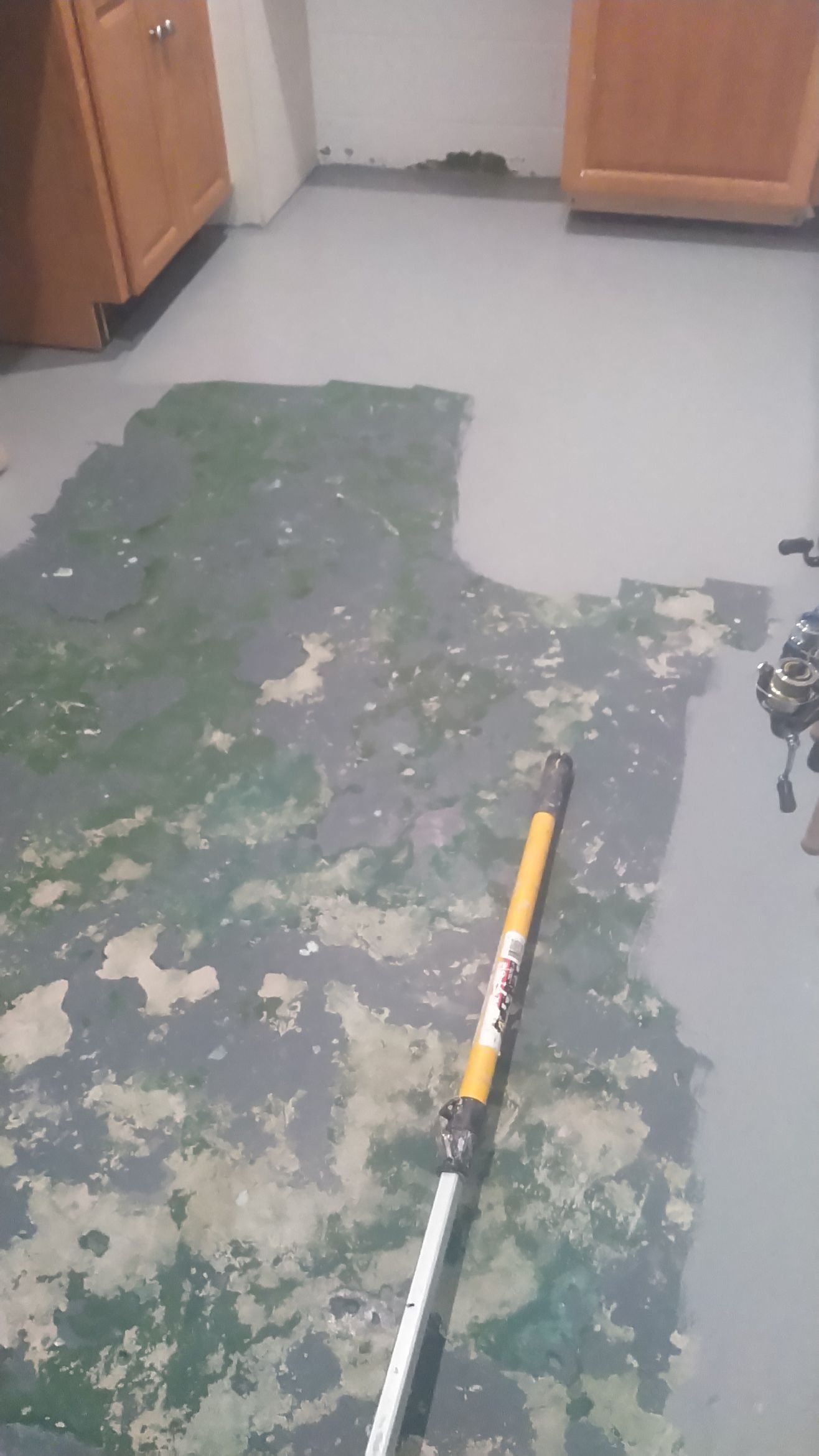 Before Attic Siding Renovation — Willoughby, OH — Shiloh Painting & Home Services LLC