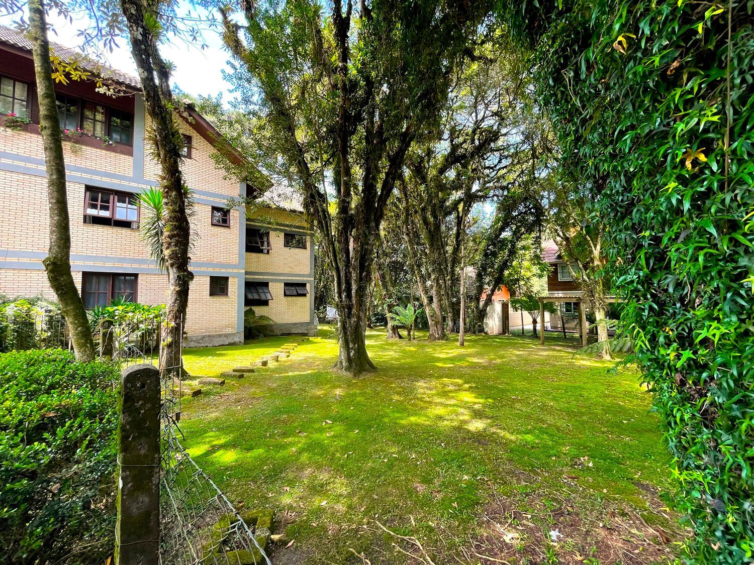 Um grande gramado em frente a um prédio cercado por árvores e arbustos.