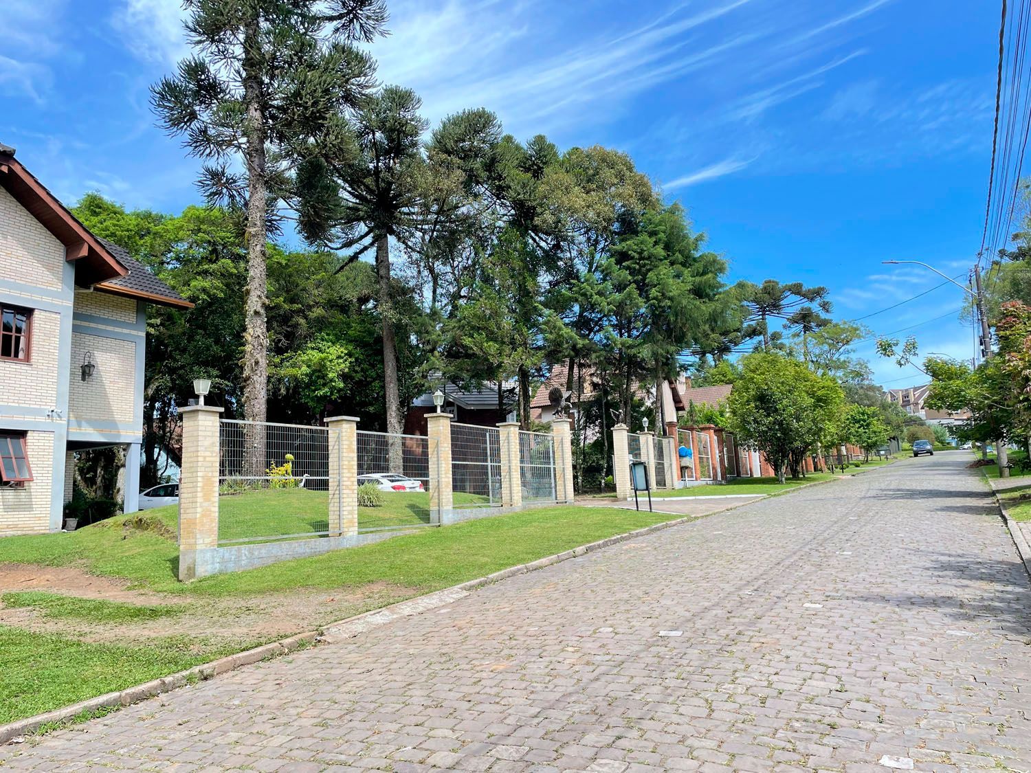 Uma rua de paralelepípedos ladeada por casas e árvores em um dia ensolarado.
