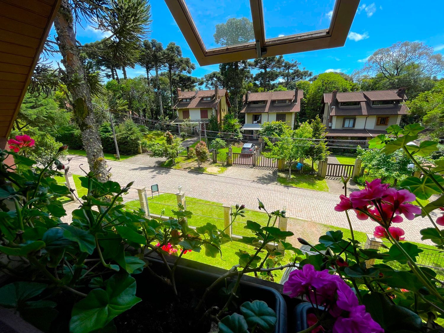 Uma vista de uma casa a partir de uma varanda com flores em primeiro plano.