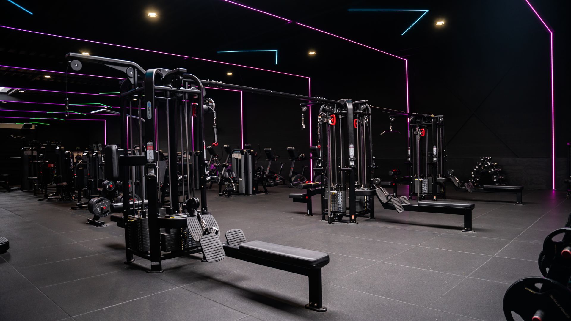 Een man doet push-ups op een groene ondergrond, met een hurkende trainer naast hem in een sportschool.