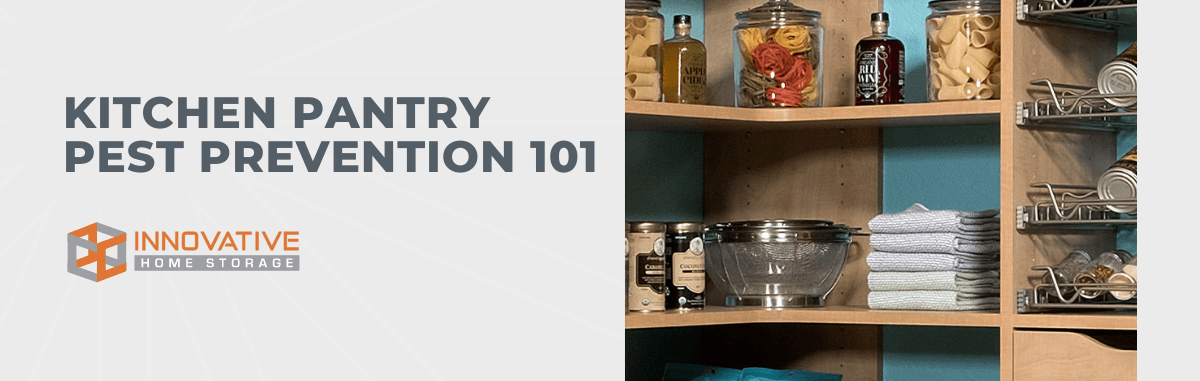 Kitchen Pantry Pest Prevention 101