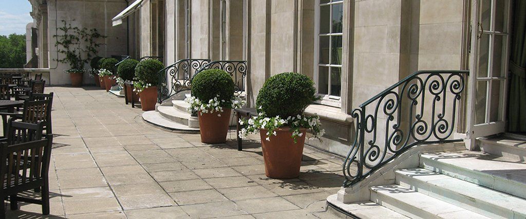 Stunning planting in West London