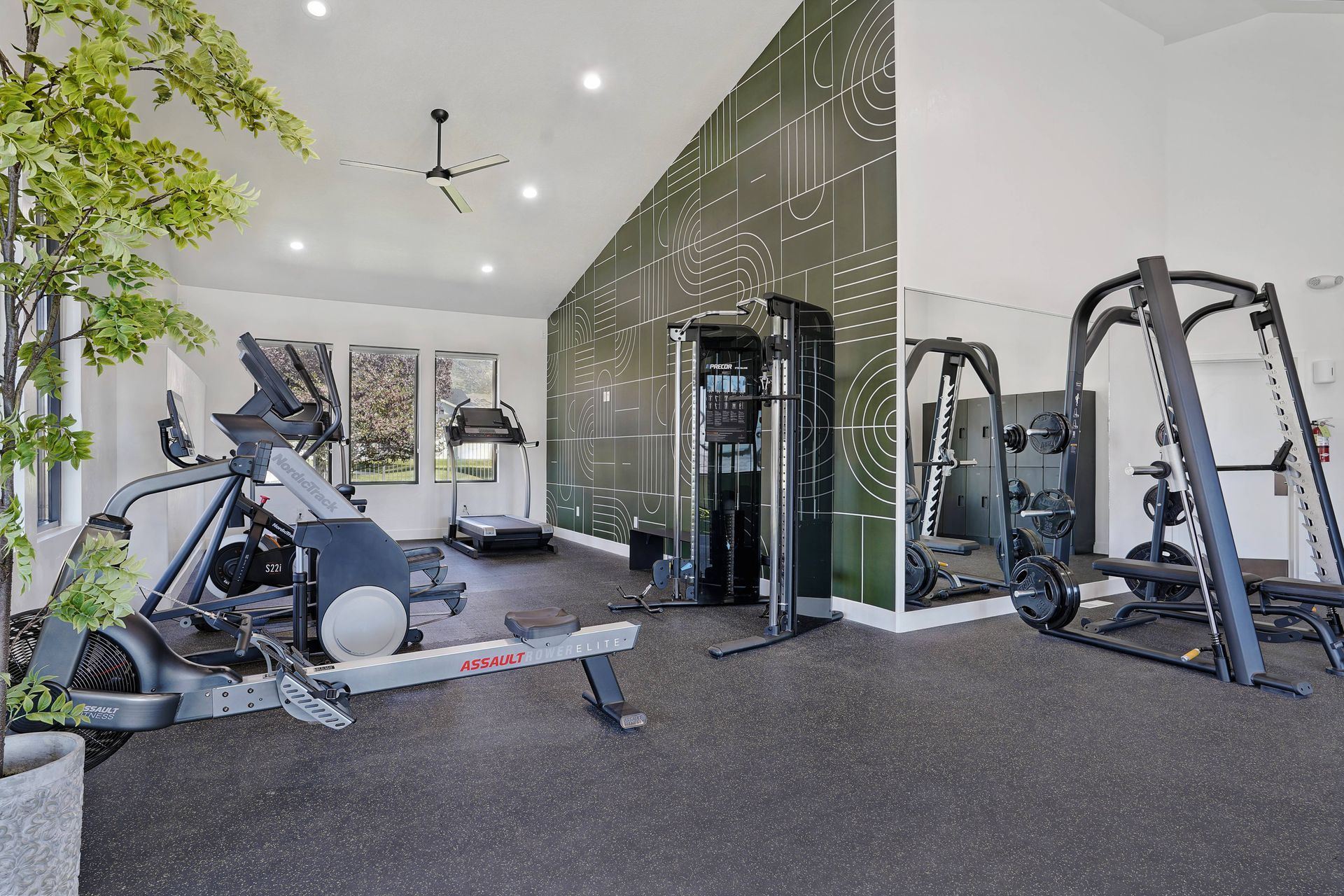 Gym interior with exercise equipment on a black floor. Green accent wall and potted plant.