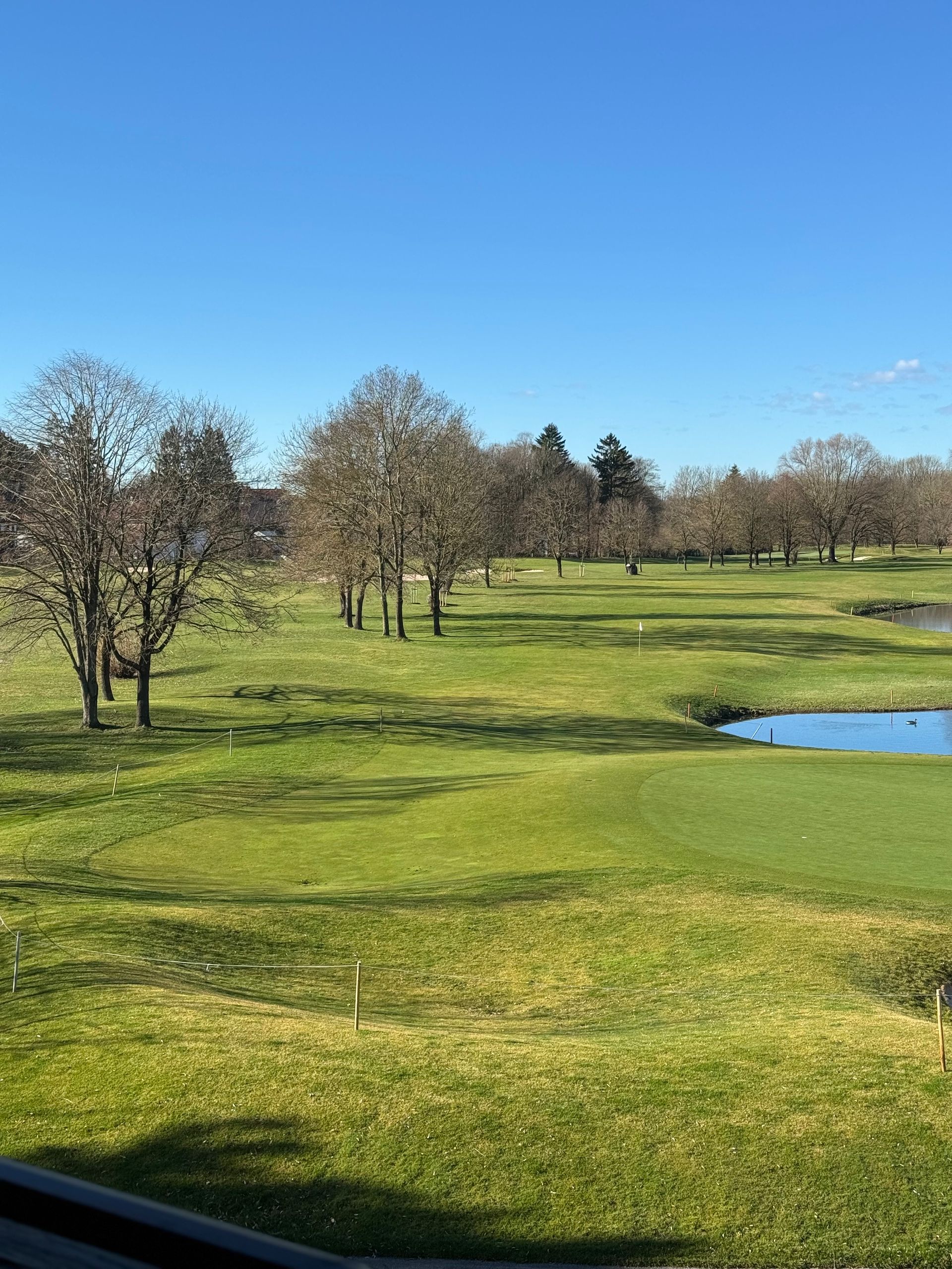 Blick auf das Golfplatz-Panorama von der Terrasse des Restaurant Platzhirsch, man sieht den See und Bäume