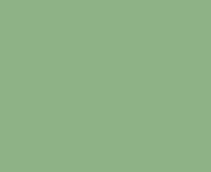 A close up of a light green background.