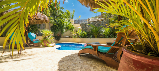 A swimming pool with chairs and a potted plant in front of it.