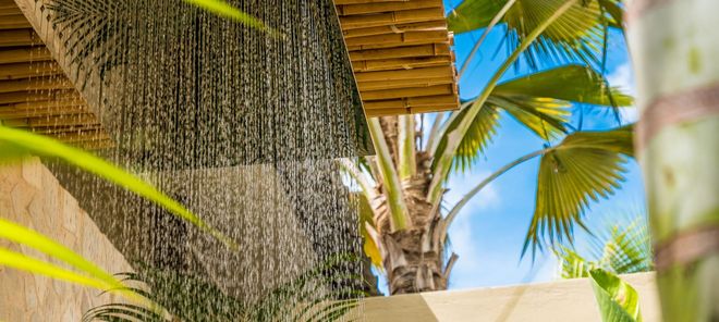 There is a shower outside with a palm tree in the background.