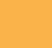 A close up of a yellow background with no texture.