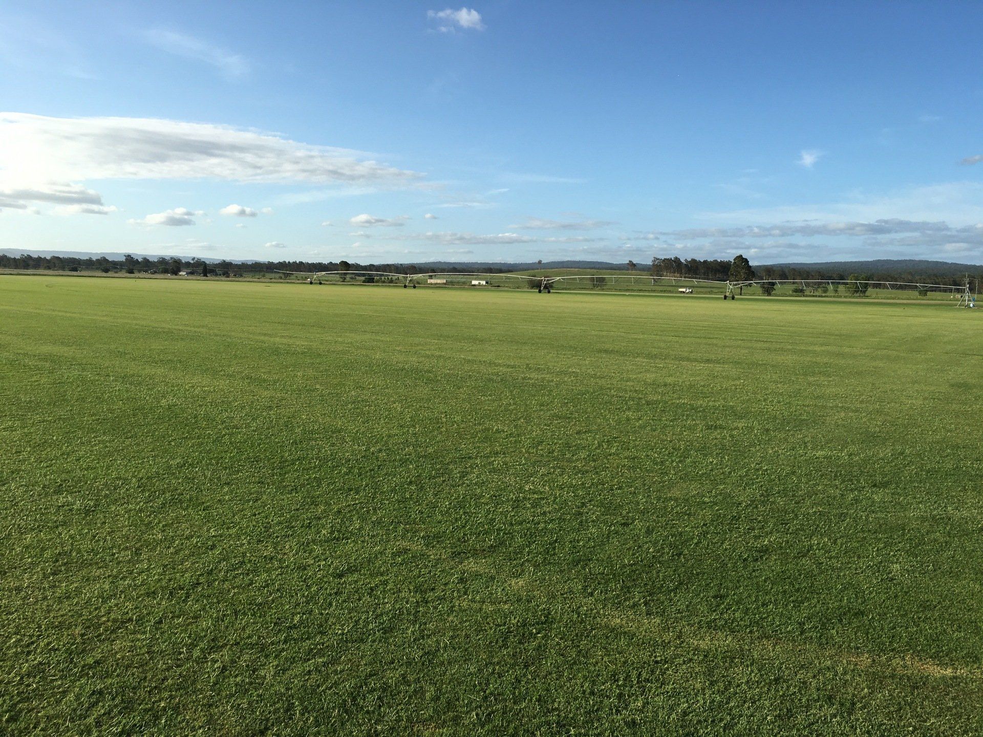 Queensland Turf Placid Hills Turf Supplies