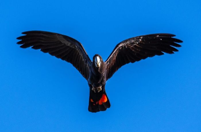photographic expeditions in Australia and overseas