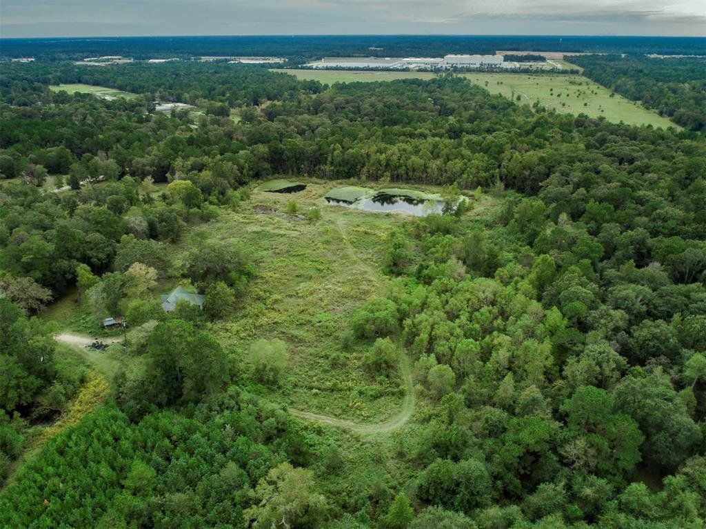 Real Estate Broker Conroe, TX