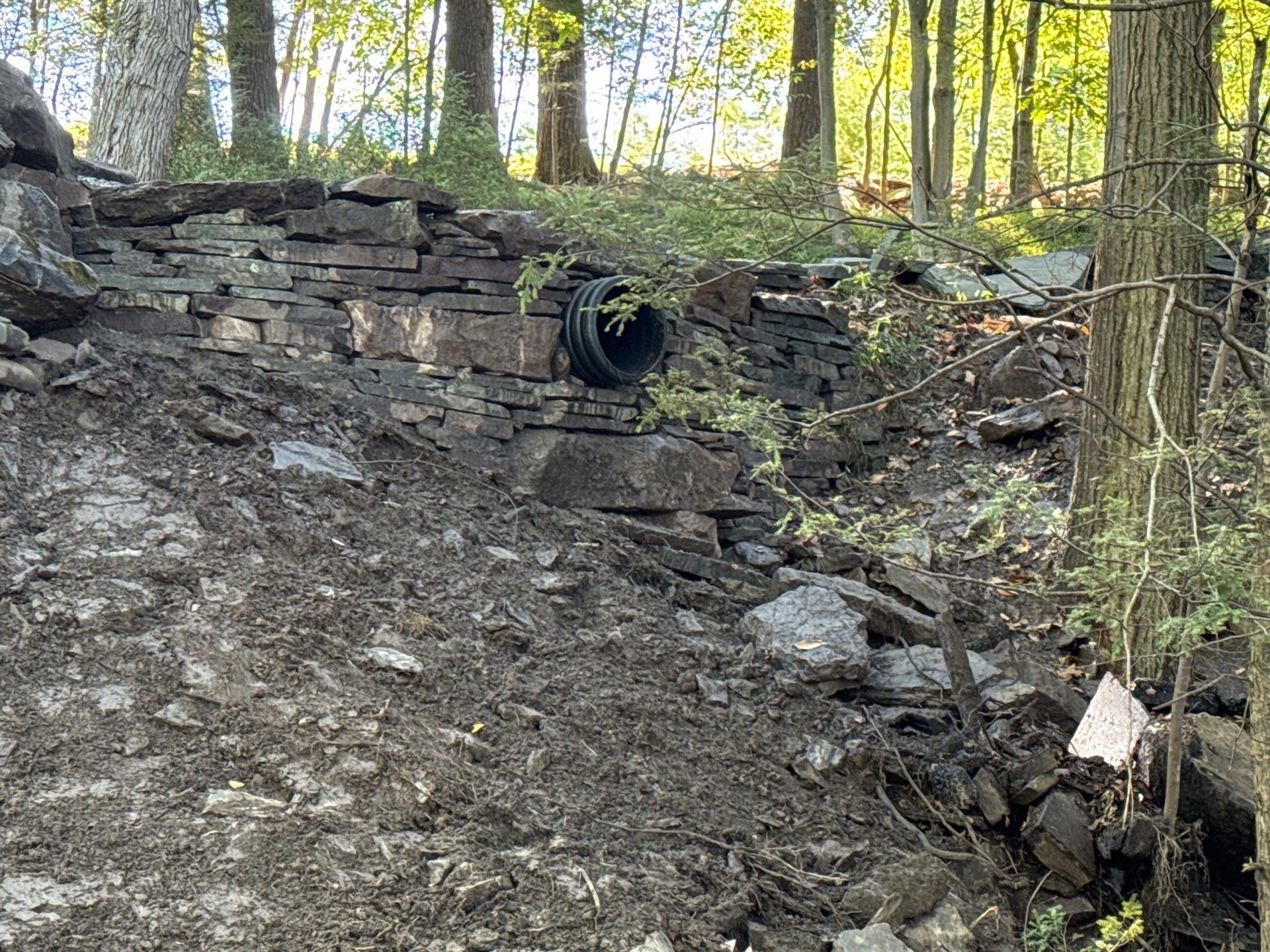 Steep muddy hillside with a black drainage pipe under a stone embankment in a wooded area