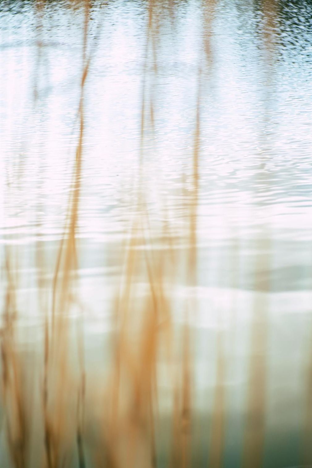 A close up of a body of water with trees reflected in it.