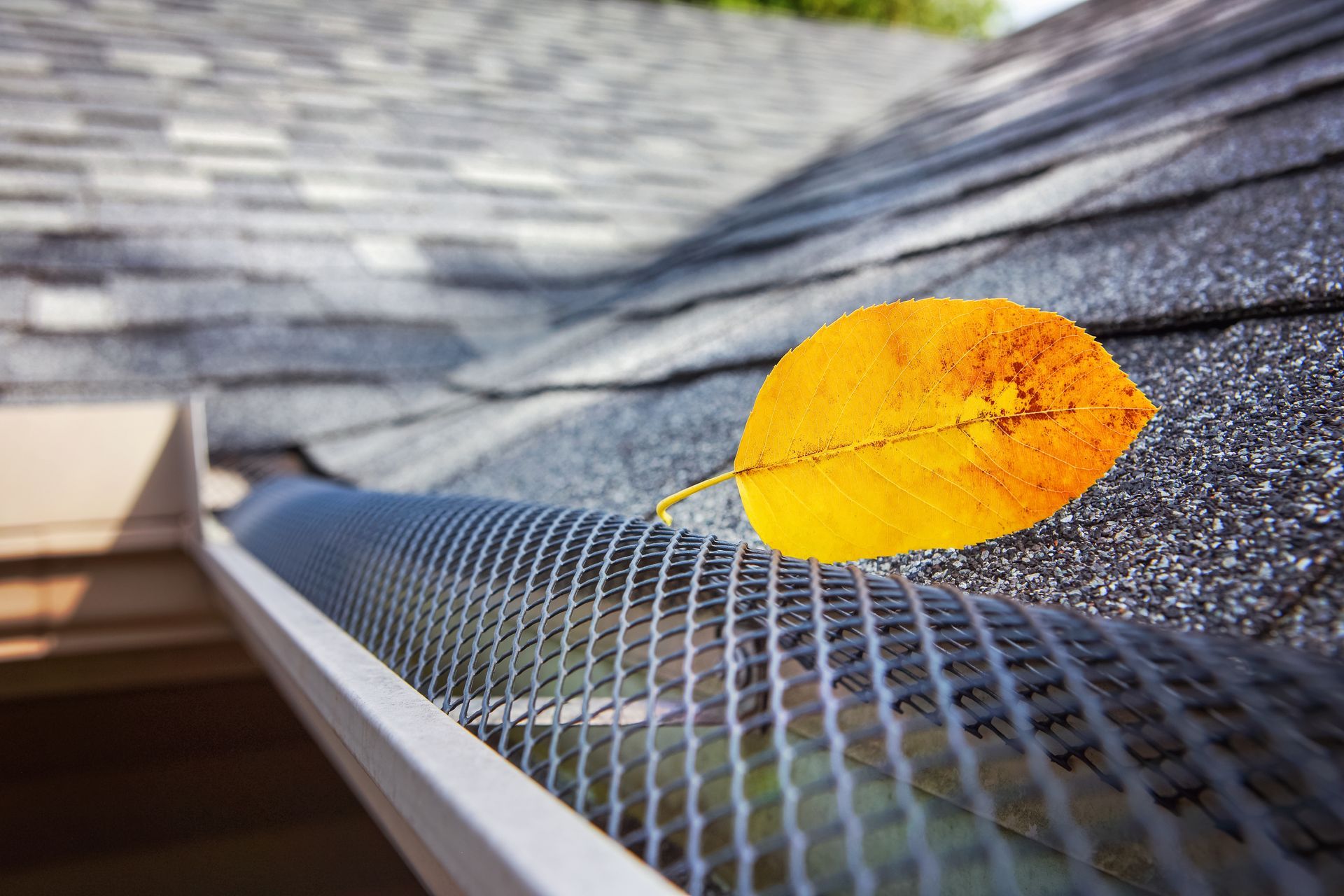 A yellow leaf is sitting on top of a gutter on a roof.