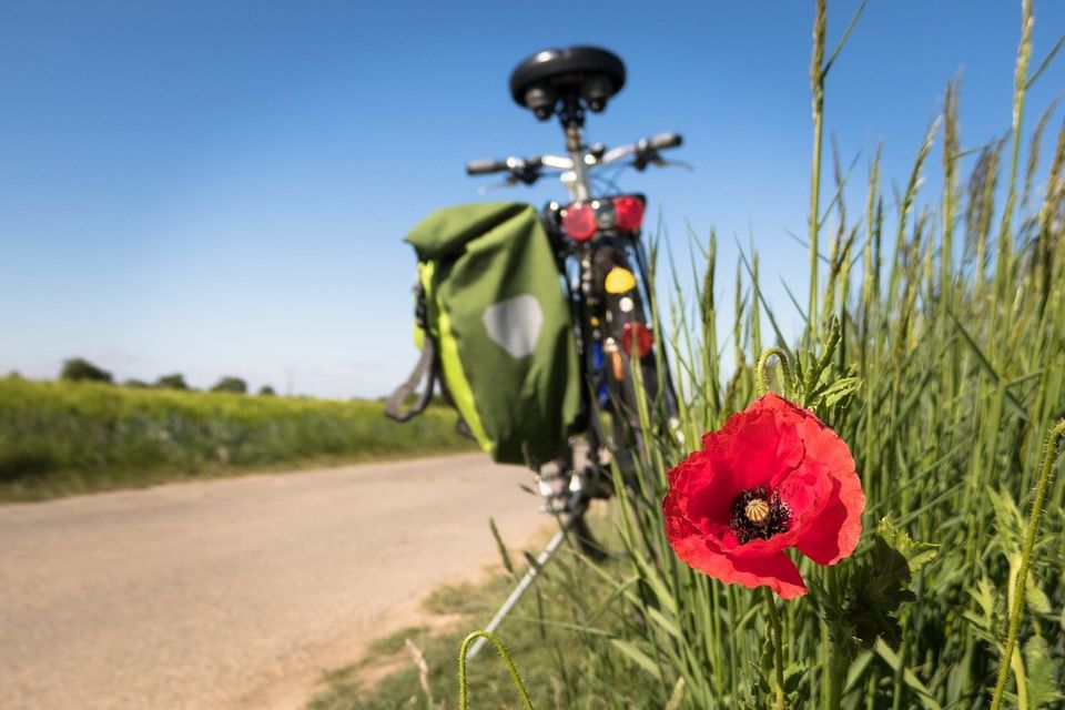 Bike on the side of the road
