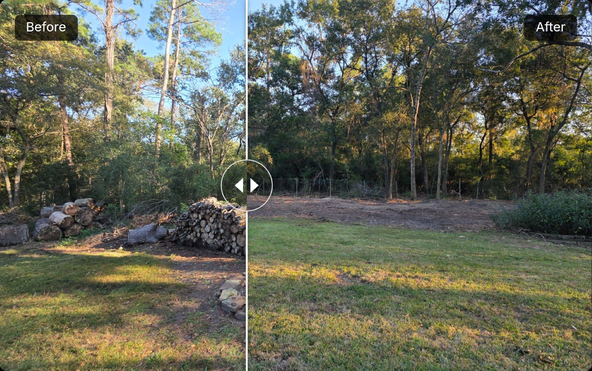 Before and after comparison of a backyard with overgrown vegetation, then cleared to reveal more grass and trees.