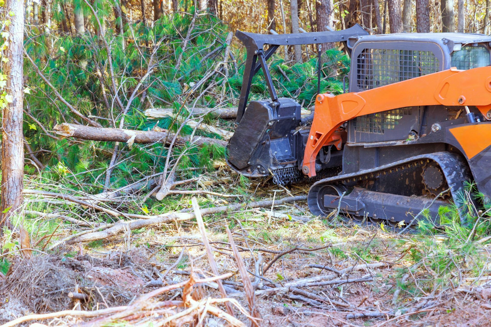 Orange and black skid steer with a forestry mulcher clearing brush in a forest.