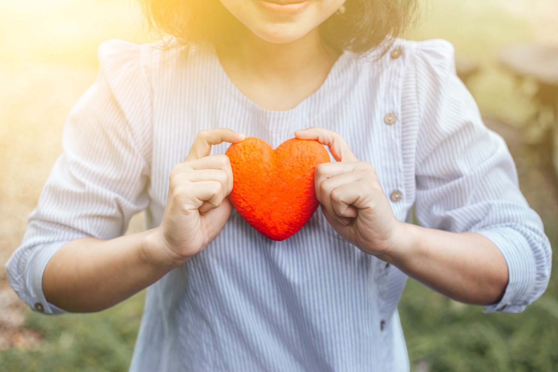 small victories ministries donate