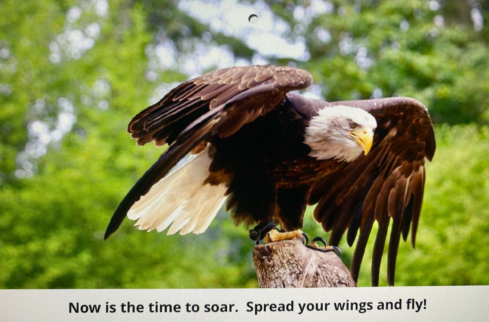 2026 Inspirational Calendar