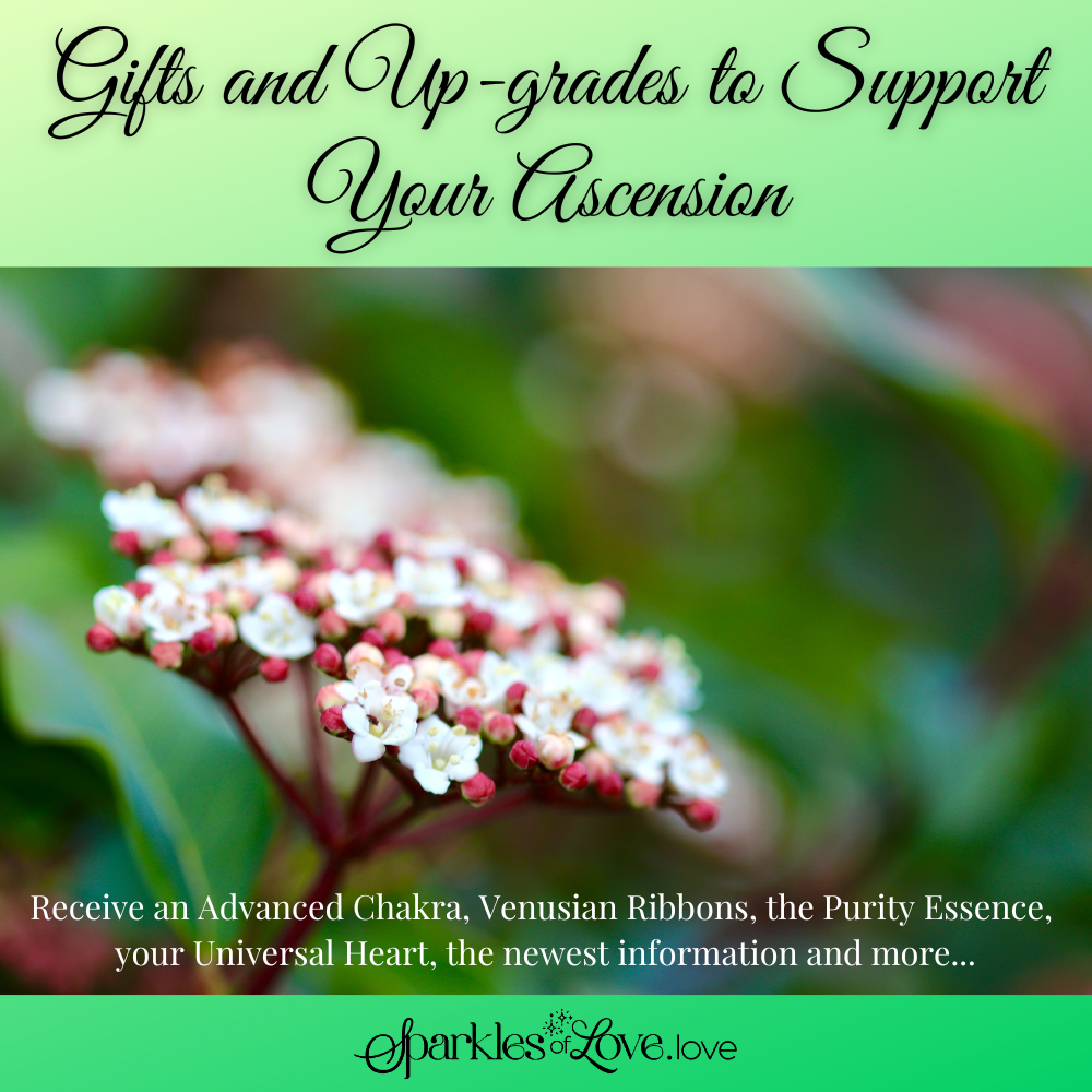 Gifts and Up-grades to Support Your Ascension