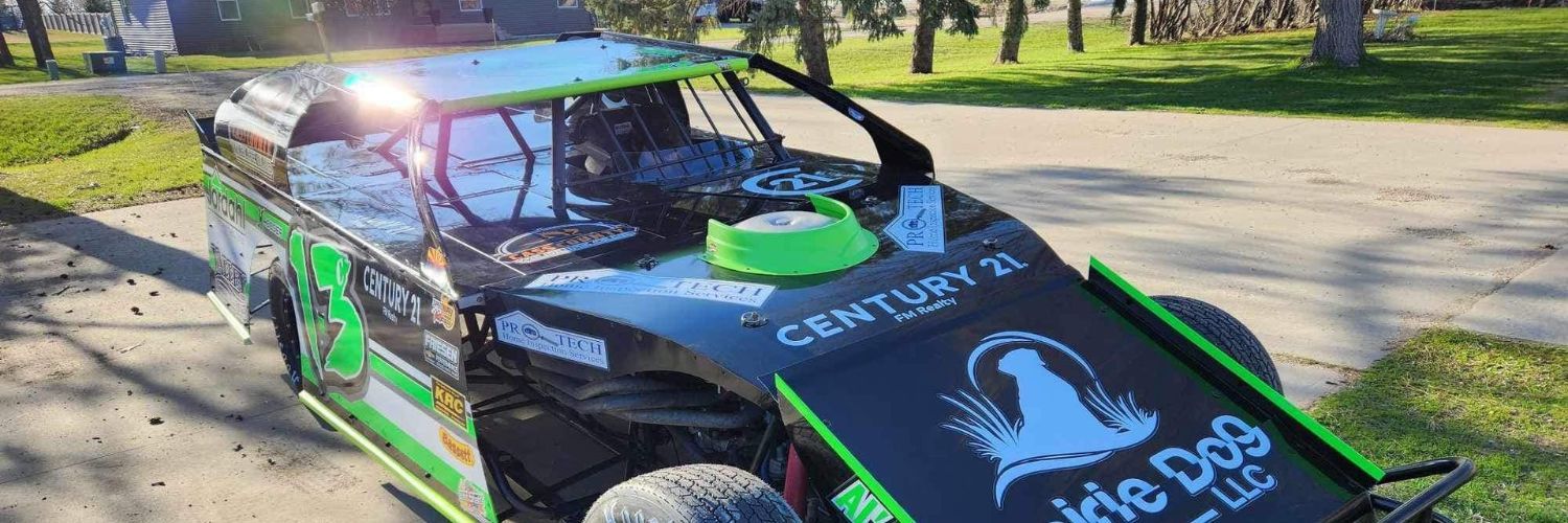 Birdcages - Modified