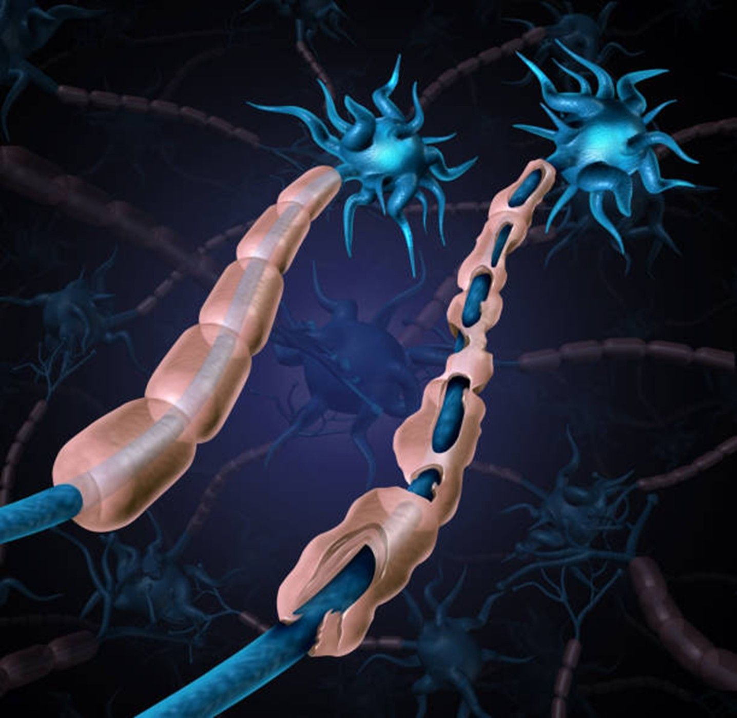 Myelin Matters: The Role of Plasmalogens in Brain and Nerve Health