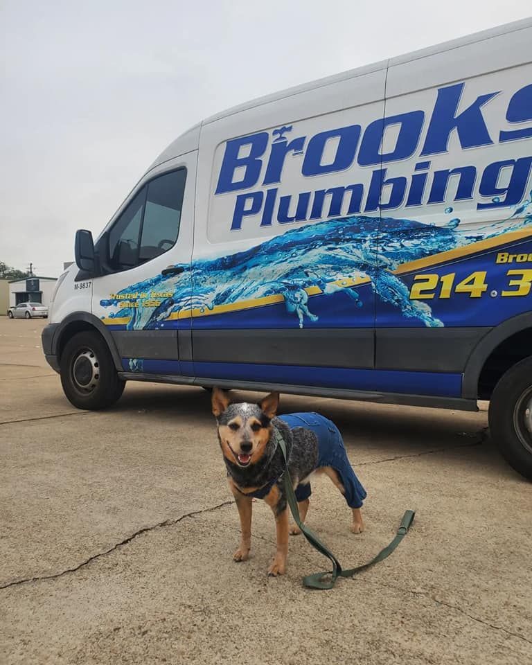 Dog wearing pants stands in front of a Brooks Plumbing van with water graphics. 214 area code is visible.