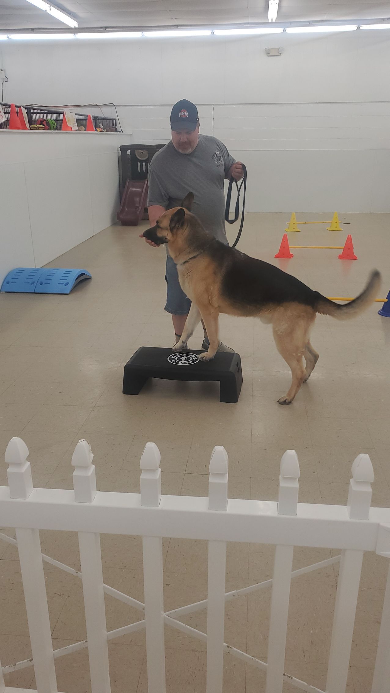 A man is standing next to a german shepherd on a step.