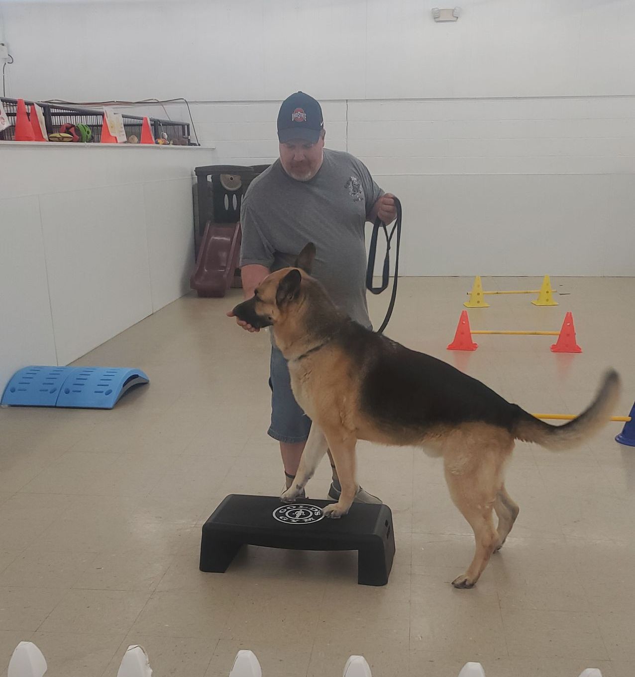 A man is standing next to a german shepherd on a step