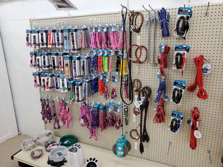 a bunch of dog leashes are hanging on a wall