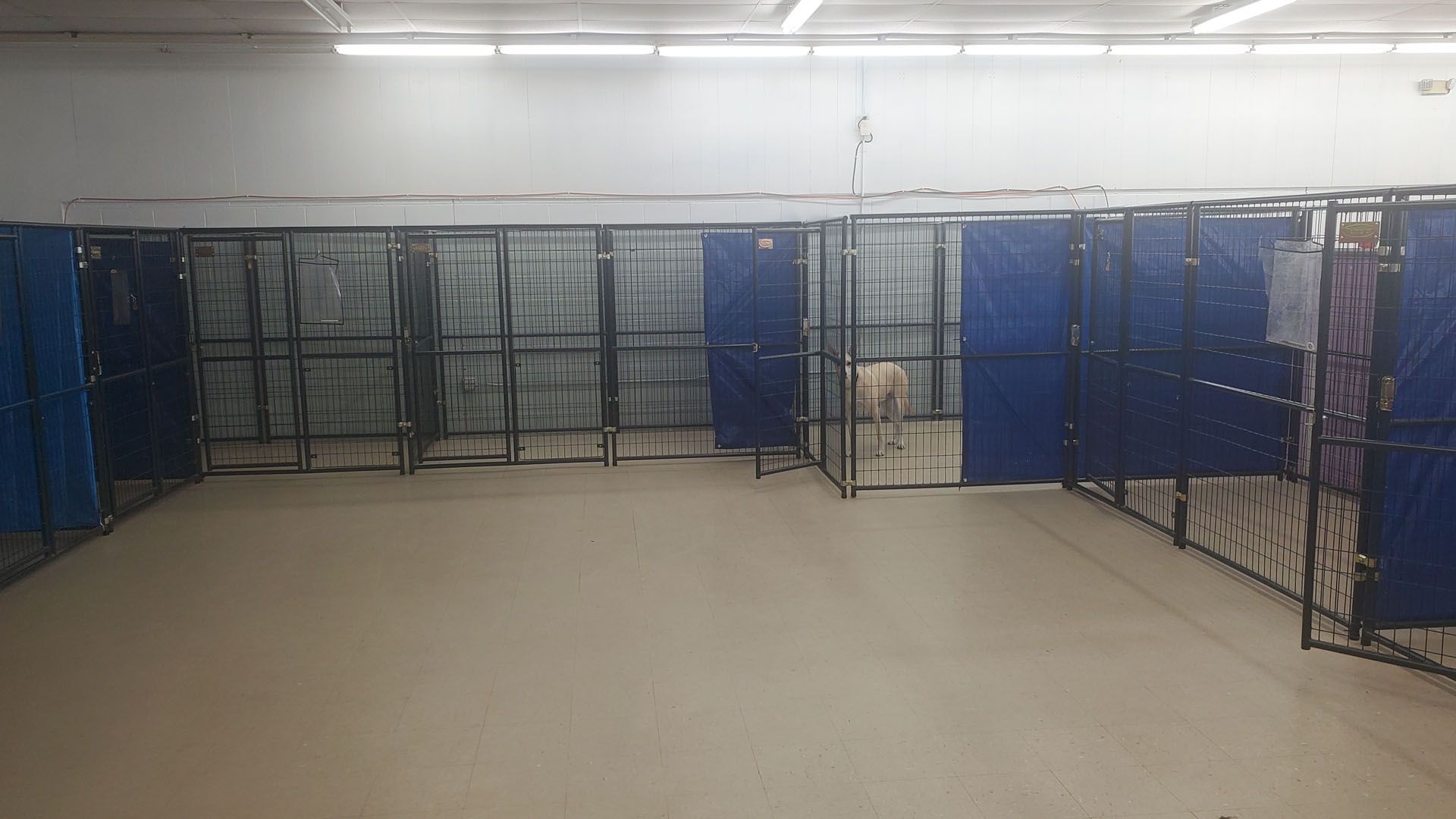 A large empty room with a lot of blue lockers.