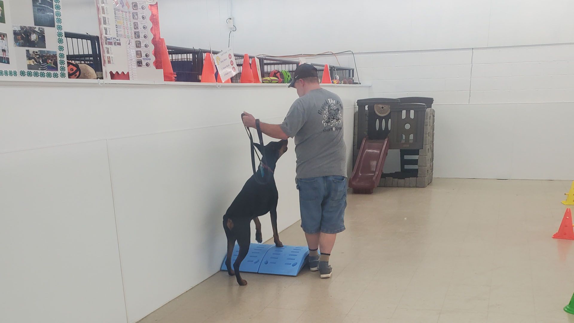 A man is playing with a black dog in a room.