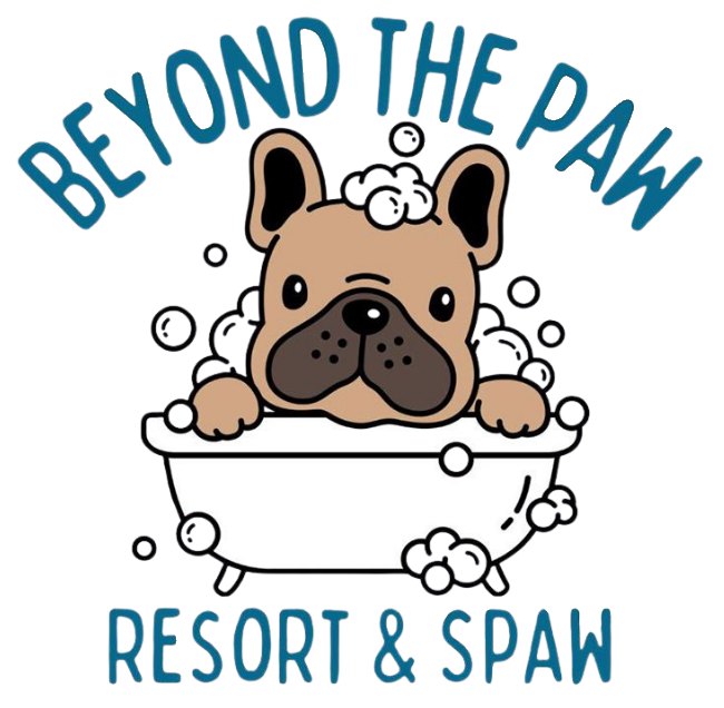 Logo for Beyond the Paw Resort & Spaw featuring a cute French bulldog in a soapy bathtub with bubbles.