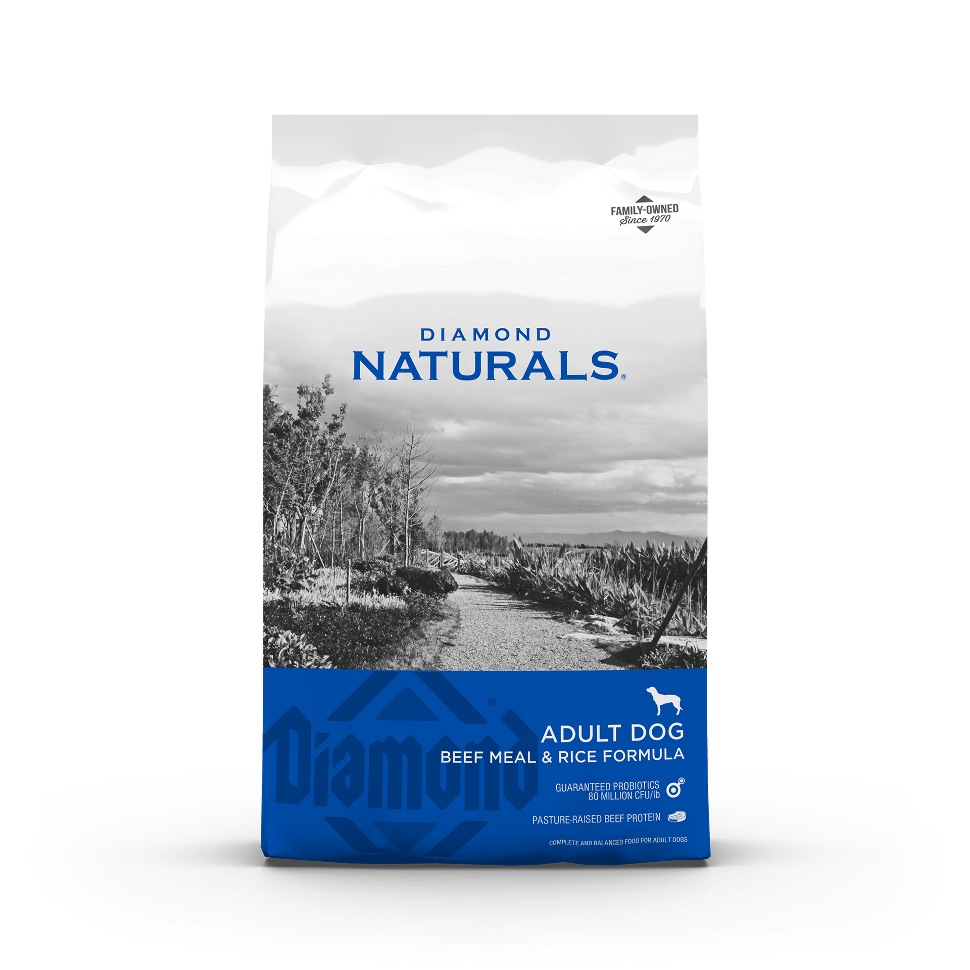 Dog food bag, Diamond Naturals Adult Beef Meal & Rice Formula, white and blue, landscape background.