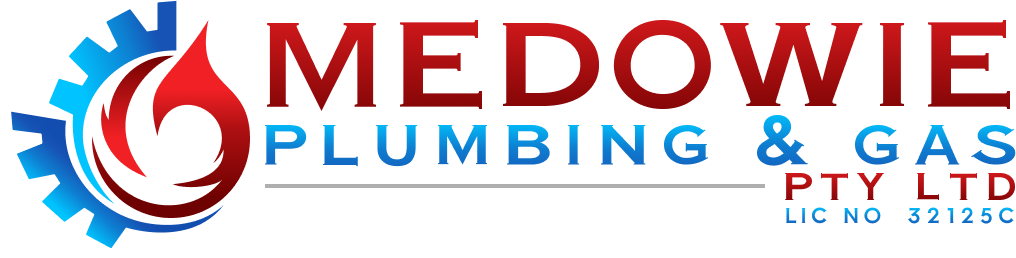 Licensed Plumber in Medowie