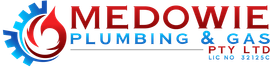 Licensed Plumber in Medowie
