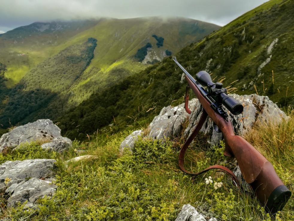 A Rifle Rests on a Rock Amidst a Mountainous Landscape — Coffs Coast Firearms In Kempsey, NSW