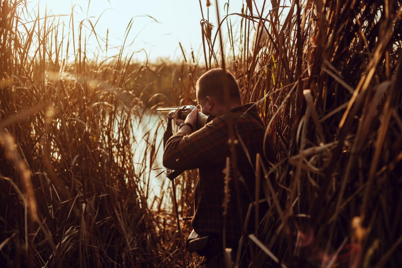 A Man Stands in Tall Grass Beside a Calm Body of Water — Coffs Coast Firearms In Glenn Ines, NSW