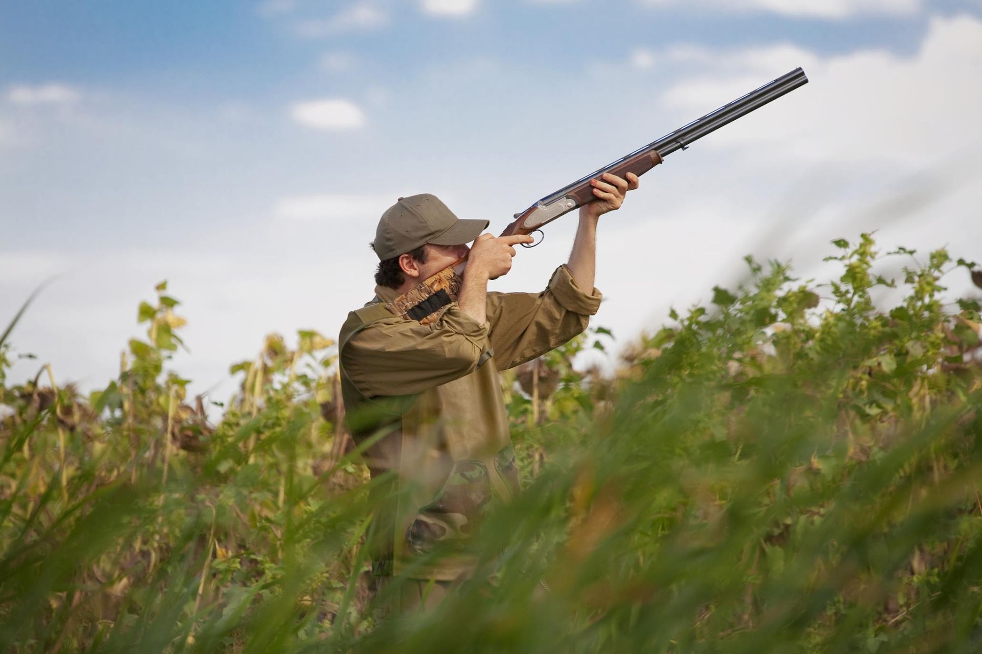 A Man Focuses Intently on a Bird in the Grass, Preparing to Take Aim — Coffs Coast Firearms In Lismore, NSW
