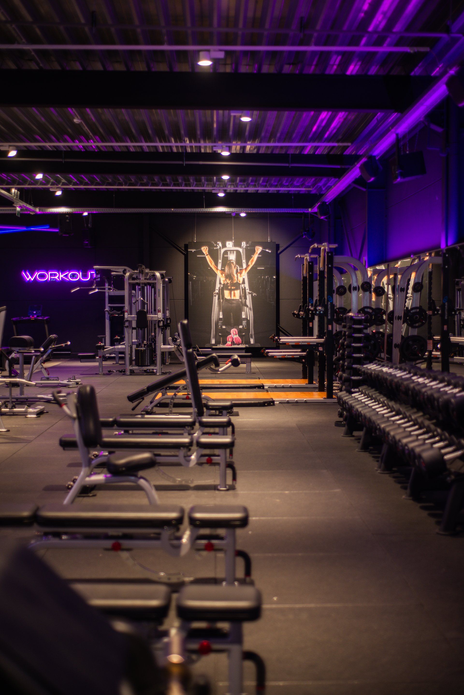 Een sportschool vol met fitnessapparatuur en paarse lichten.