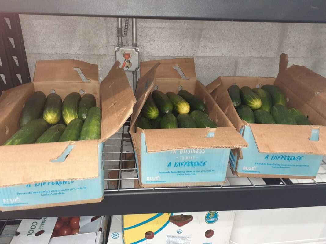 Three boxes of cucumbers are sitting on a shelf.