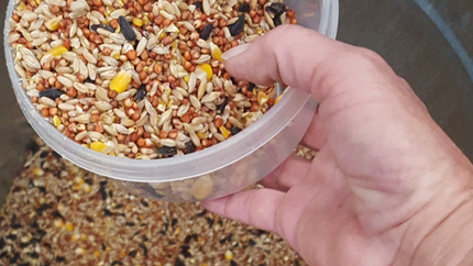 A person is pouring bird food into a plastic container.