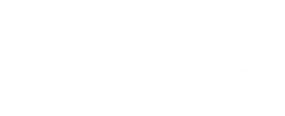 A white background with a few lines on it