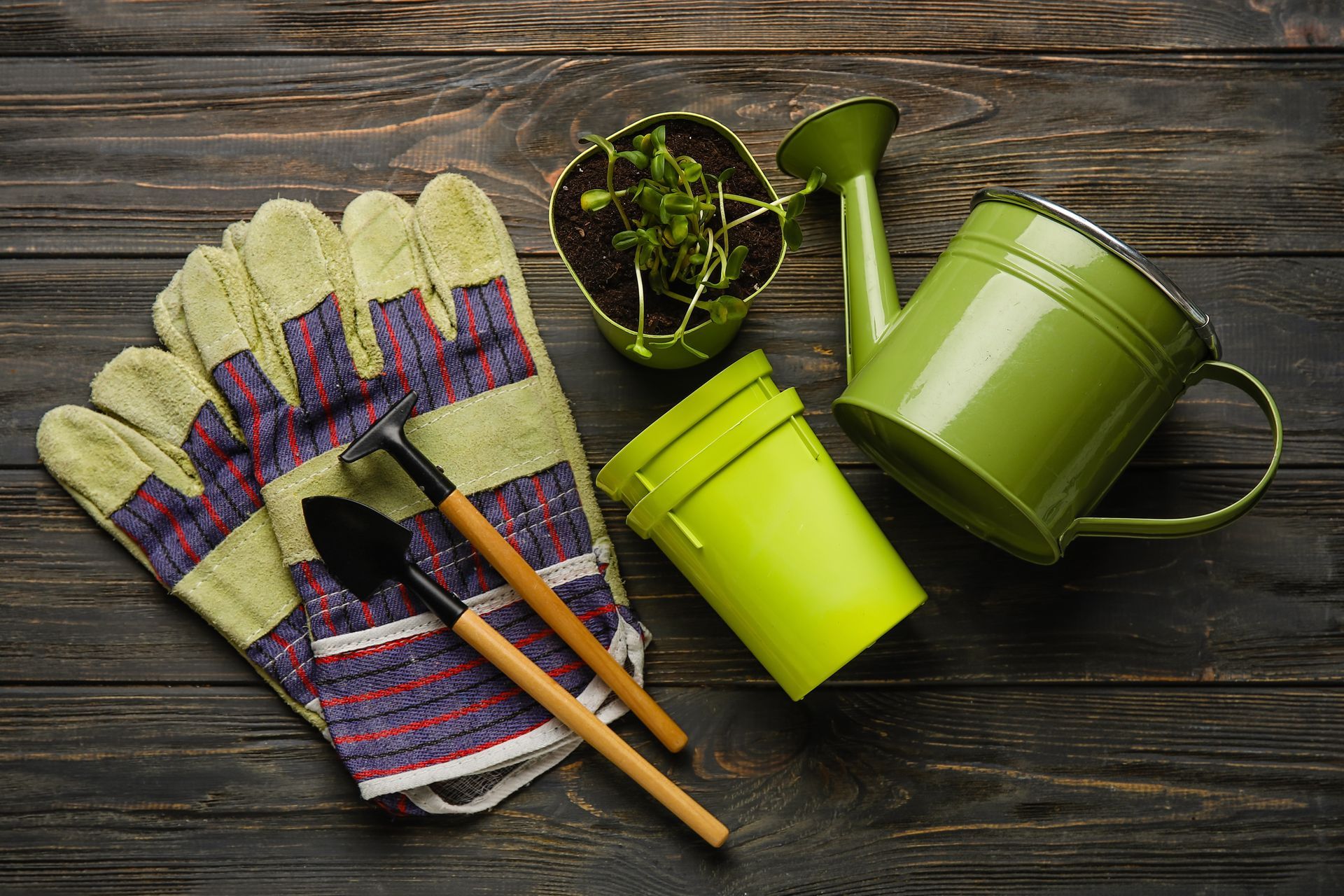 A pair of gloves , a shovel , a watering can , and potted plants on a wooden table