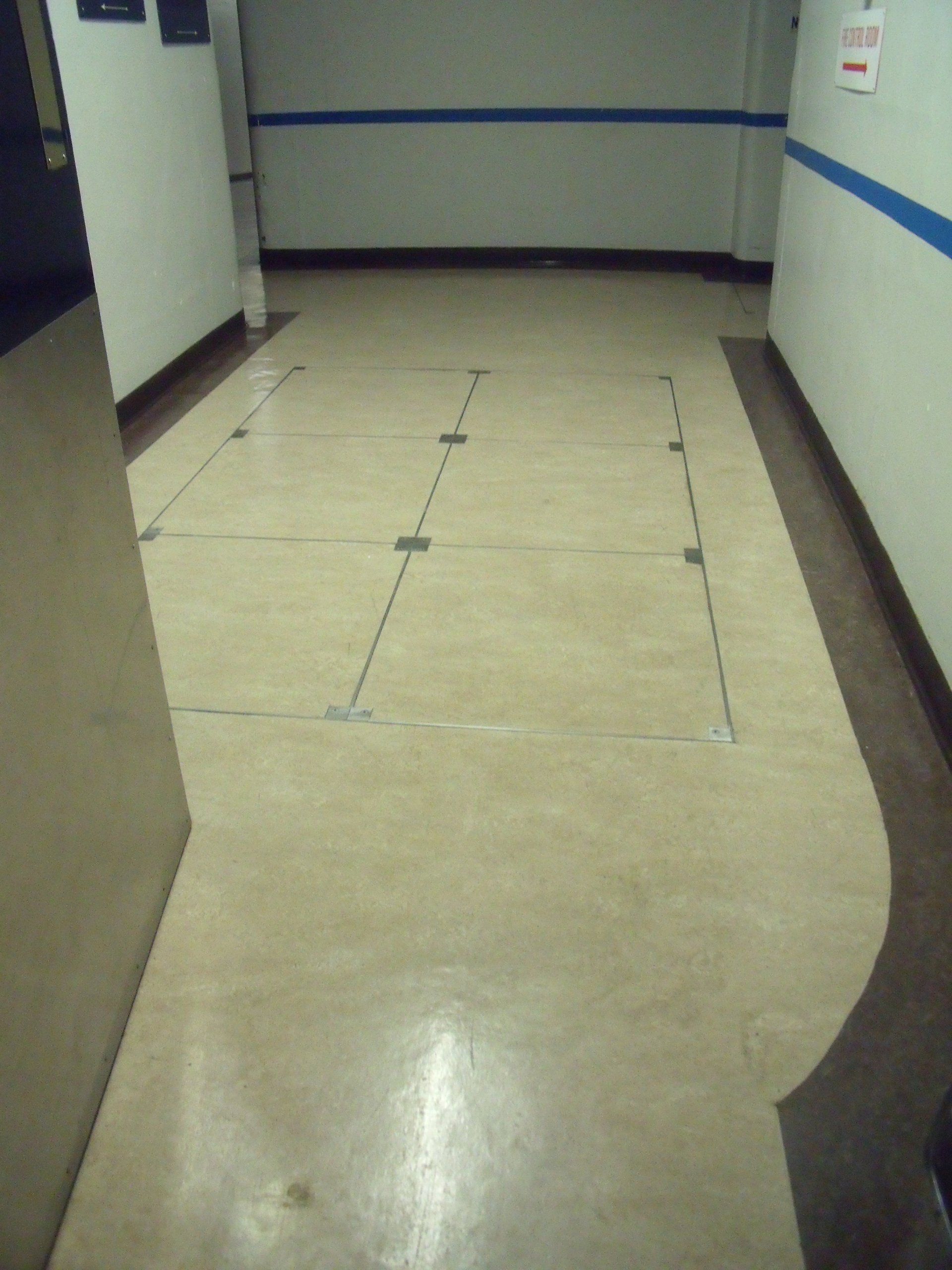 Buckingham Palace screeding