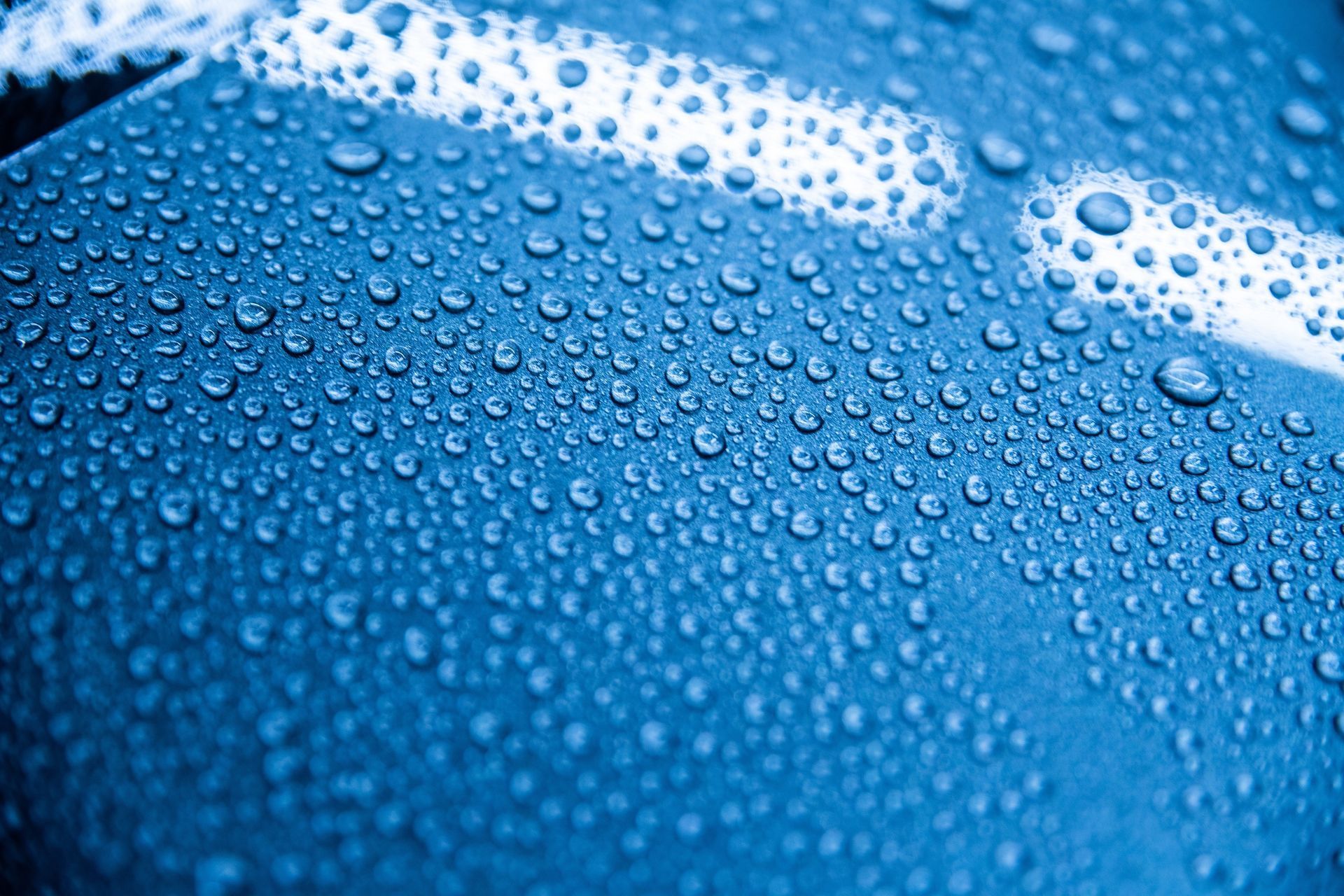 Blue car hood wrapped in protective film, with a small colorful squeegee on top