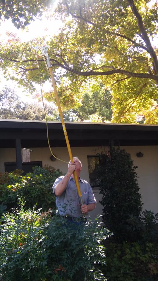 Tree Trimming in Wilton, CA | Robert Tompkins Tree Service
