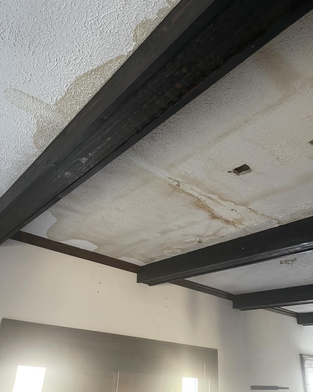Water Damage on Ceiling — Circleville, OH — Captain Steamer Cleaning Company